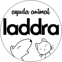 laddra